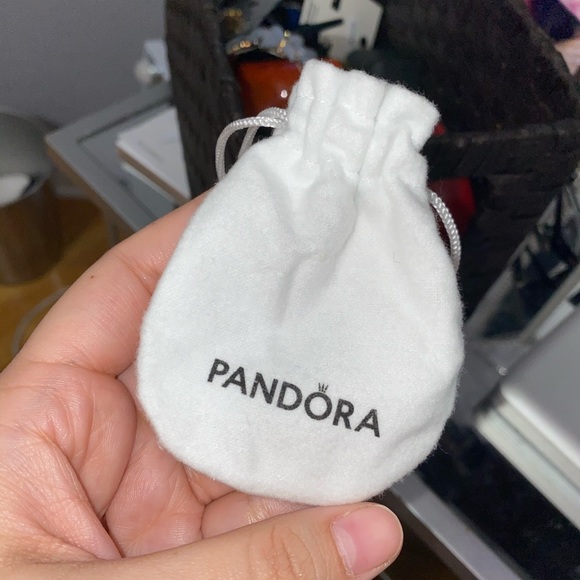 pandora gift pouch